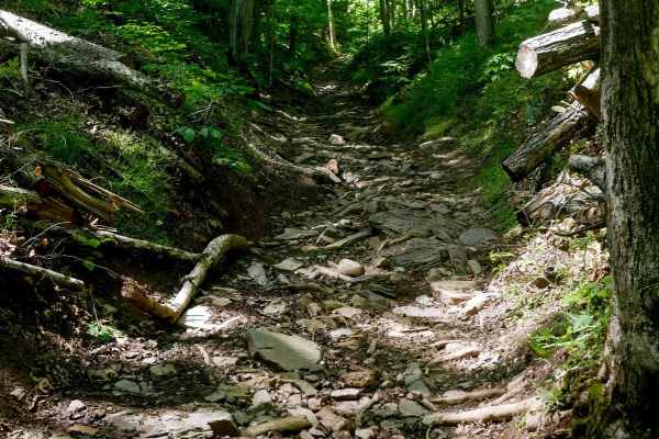 Trail 28 Razor Ridge
