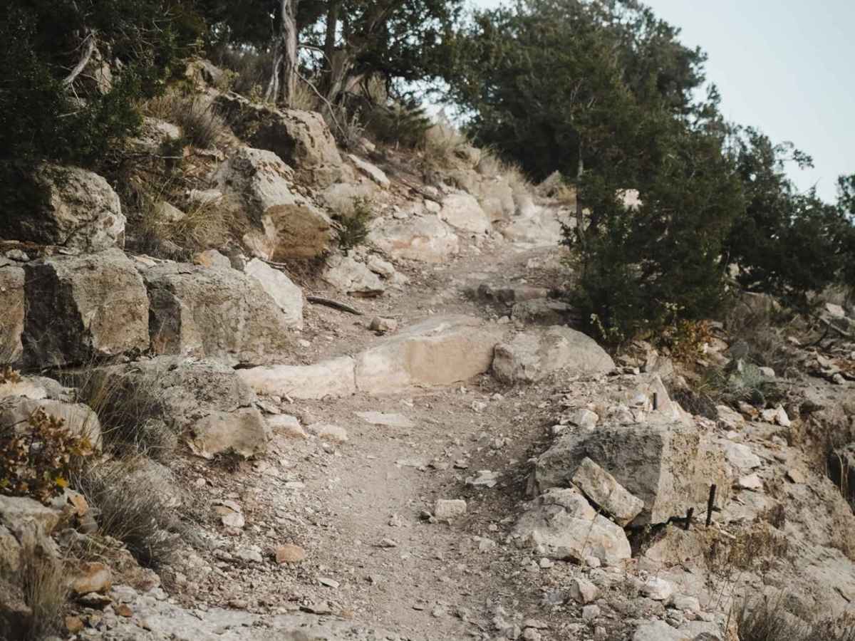Jackalope trail photo