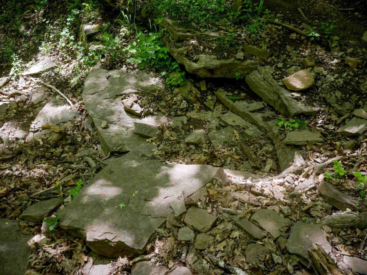 Trail 25 photo 4