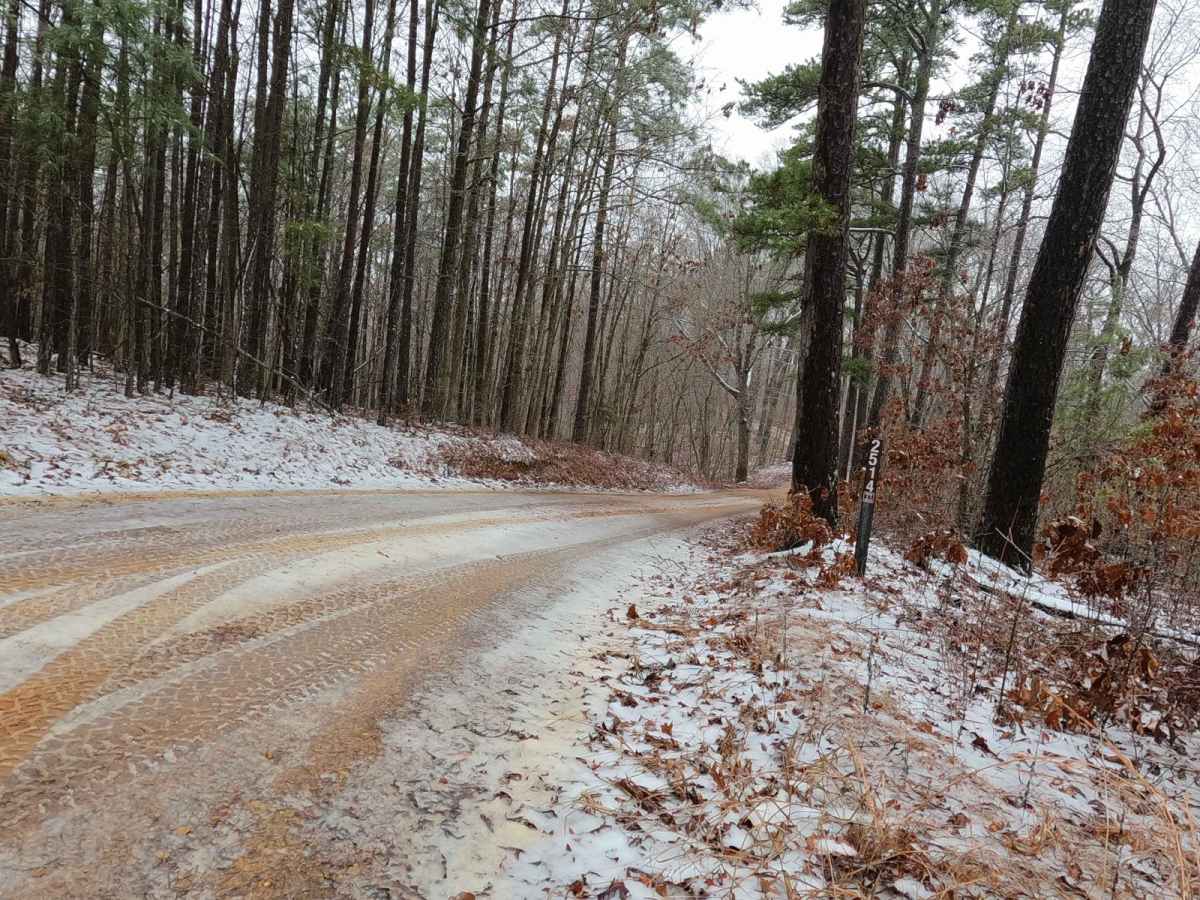Timber Lane - FS 2514 trail photo