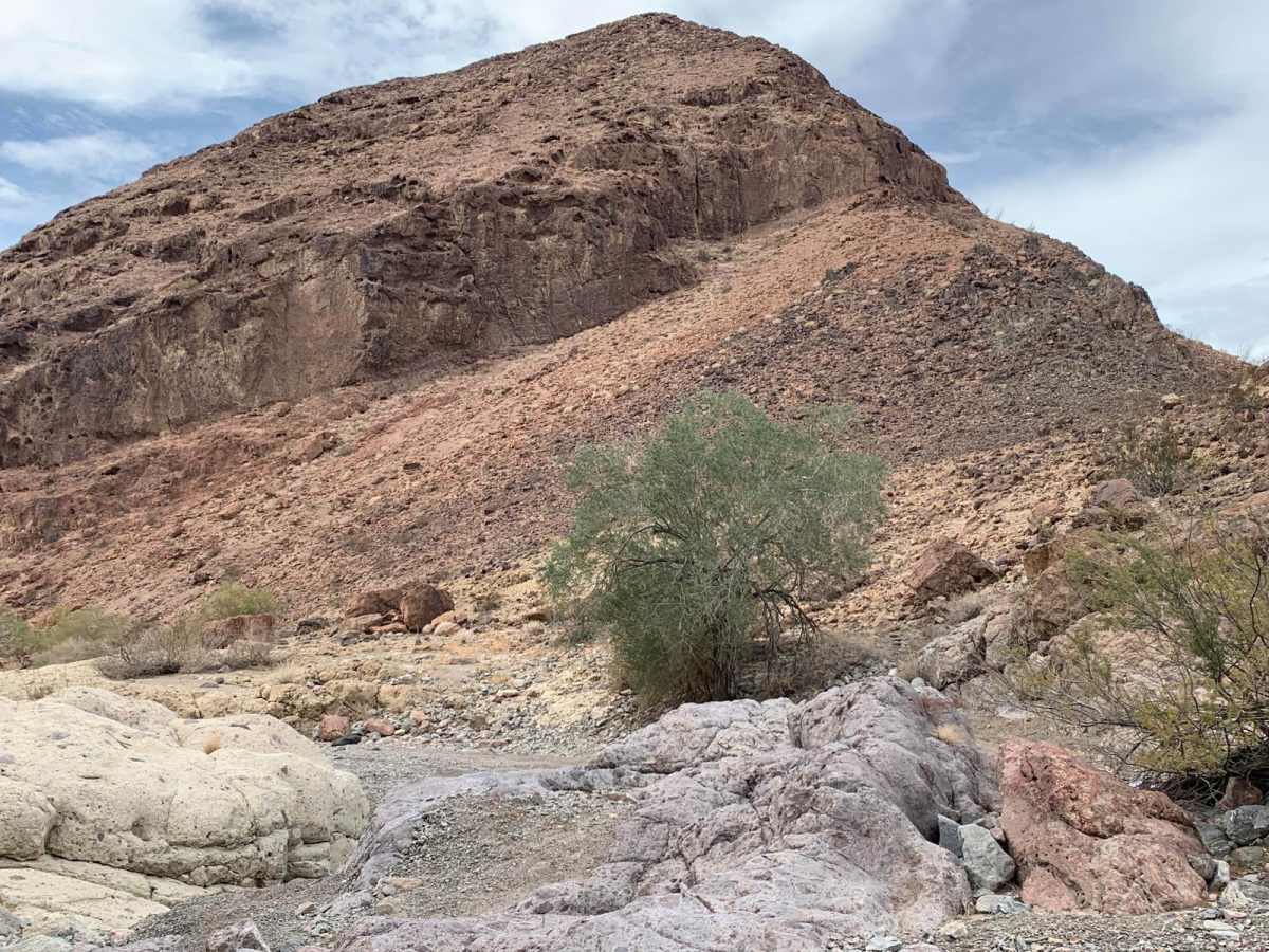 Muggins Mountain Red Bluff East photo 5