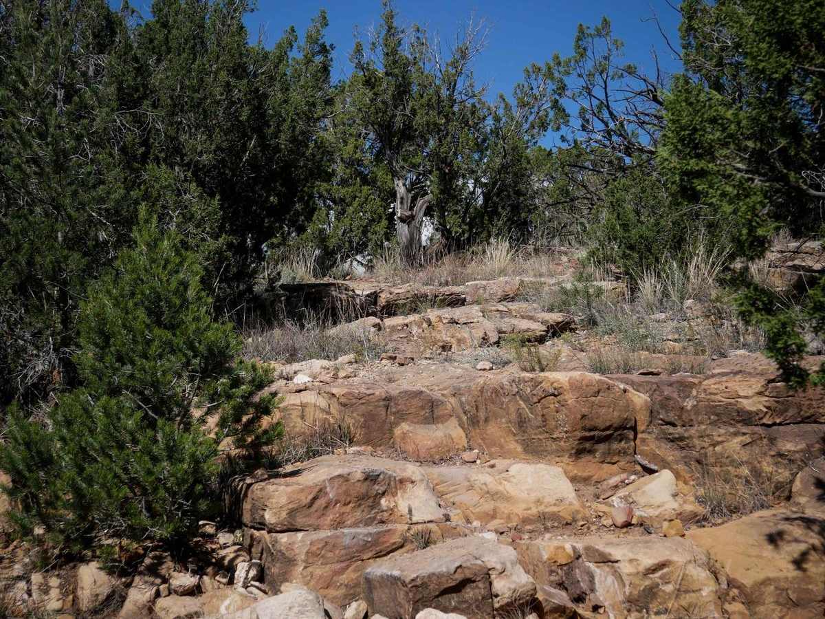 The Ridge - Penrose Commons Recreation Area photo 3