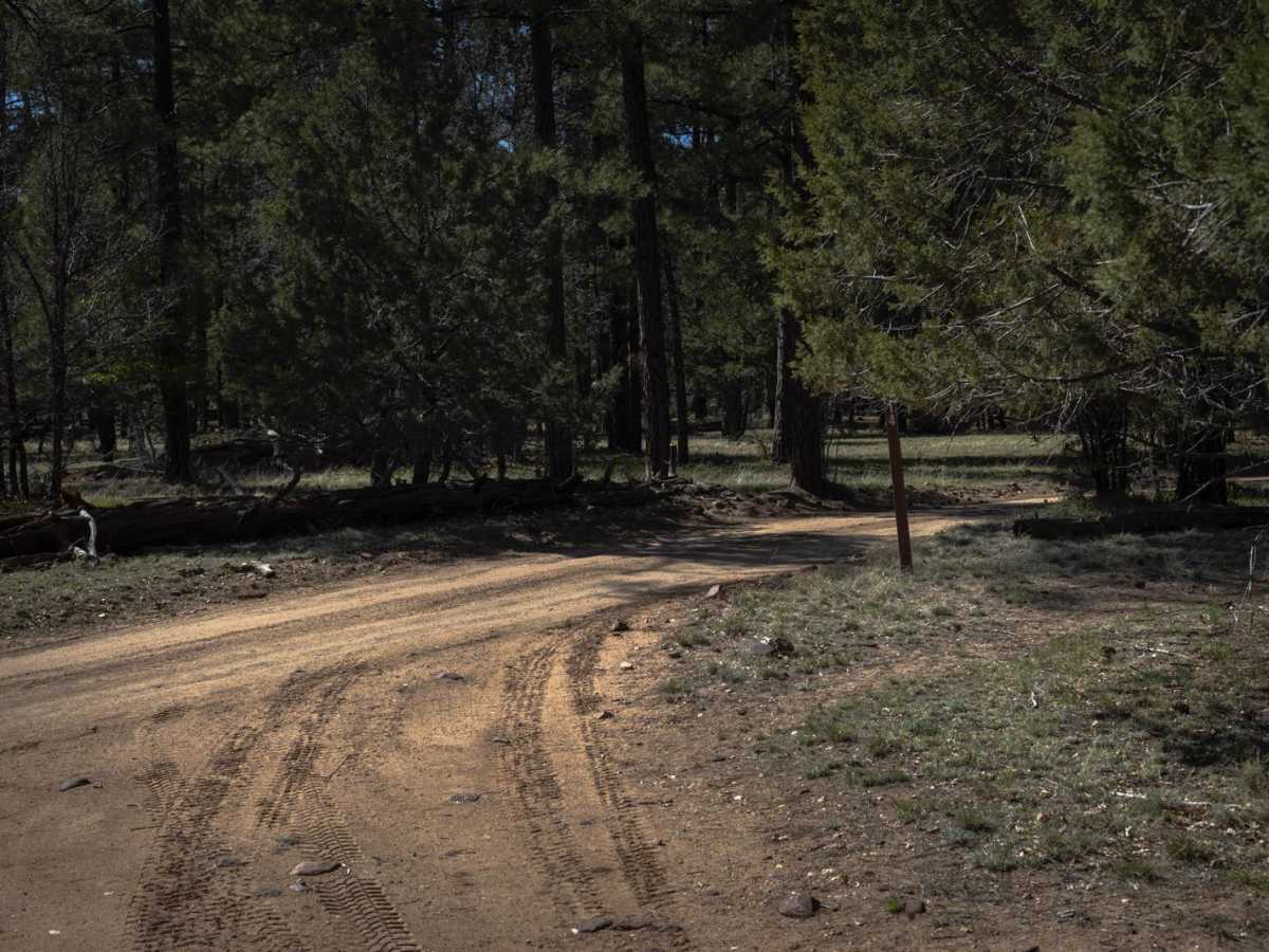Turkey Run photo 5