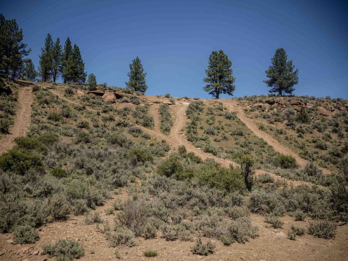 13 trail photo