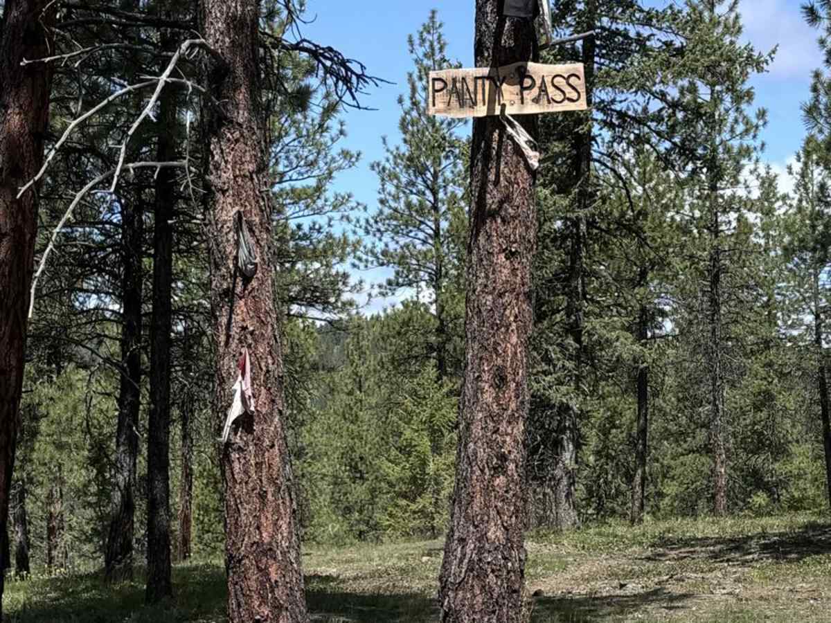 Panty Pass trail photo