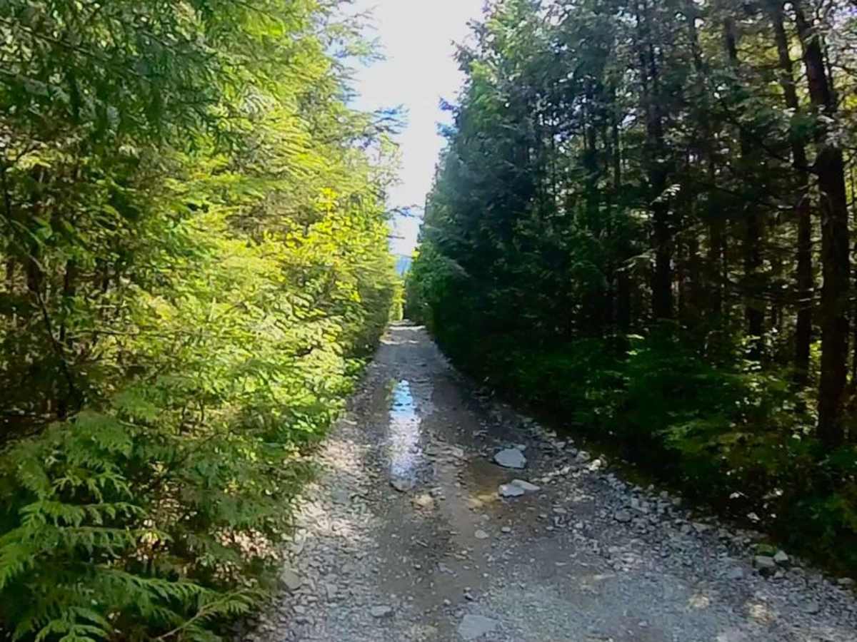 Salsbury Lake Trail  photo 3