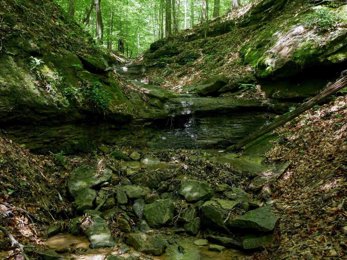 IB 99 trail photo