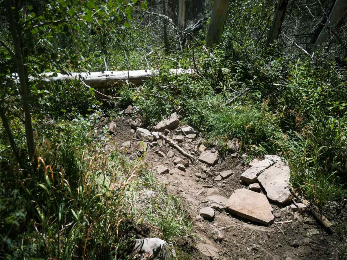 Grindstone photo 6