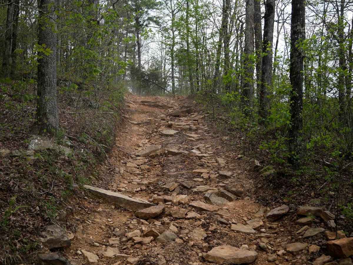 Gap Hollow Spur South 2 photo 6