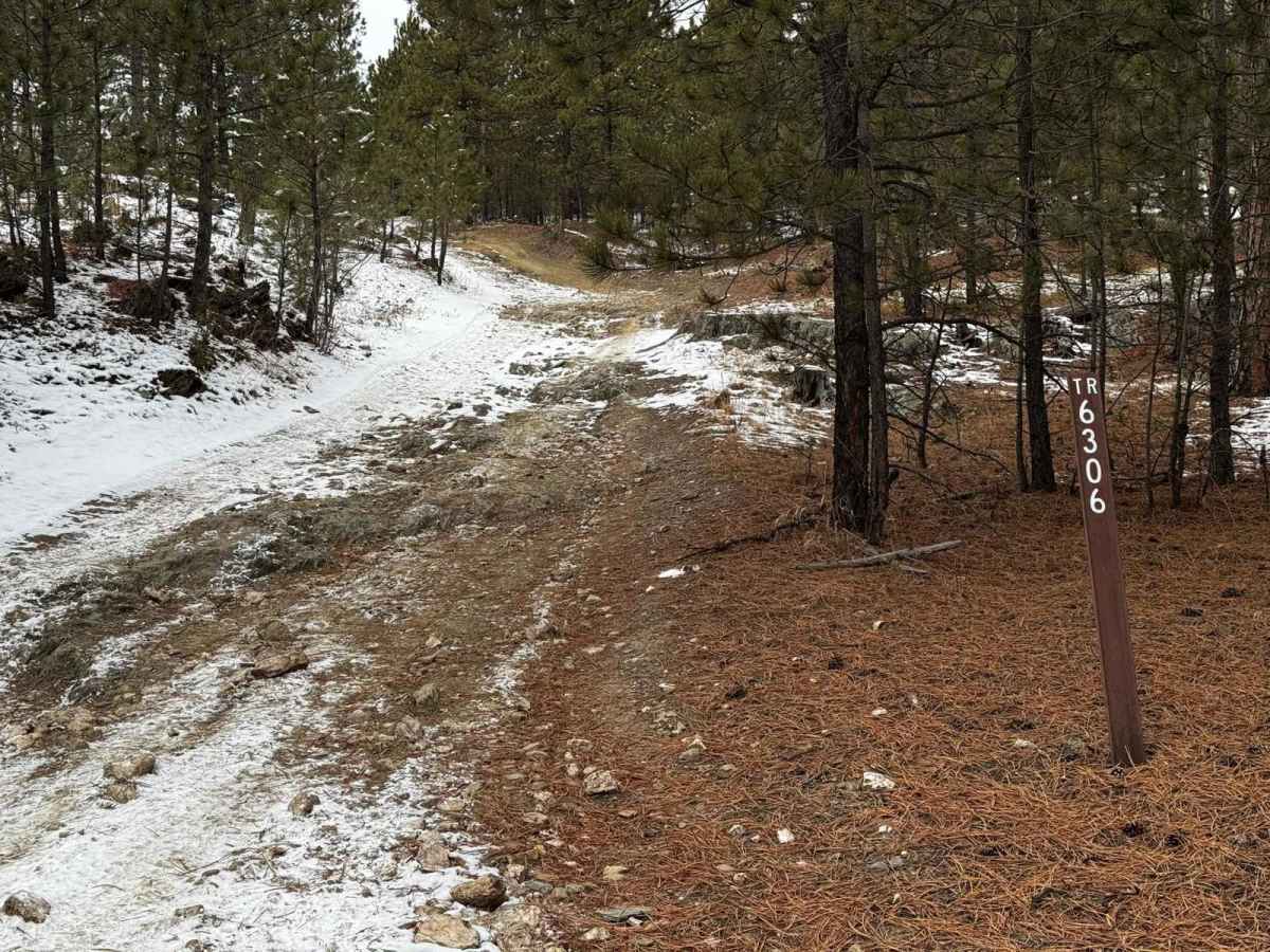 Bogus 6306 trail photo