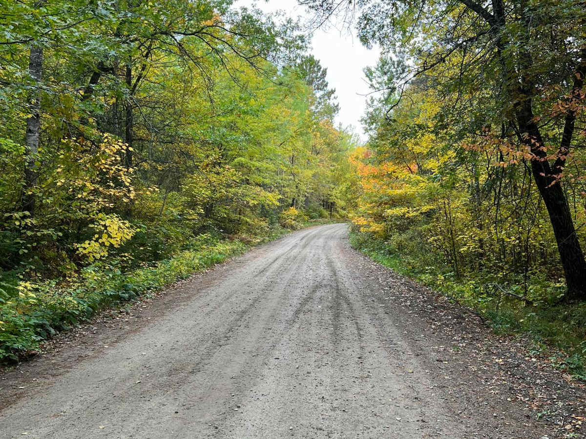 Parkway Forest Road photo 2