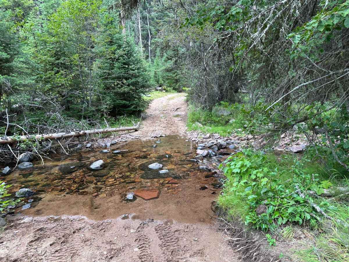 South Boulder Creek Loop photo 6