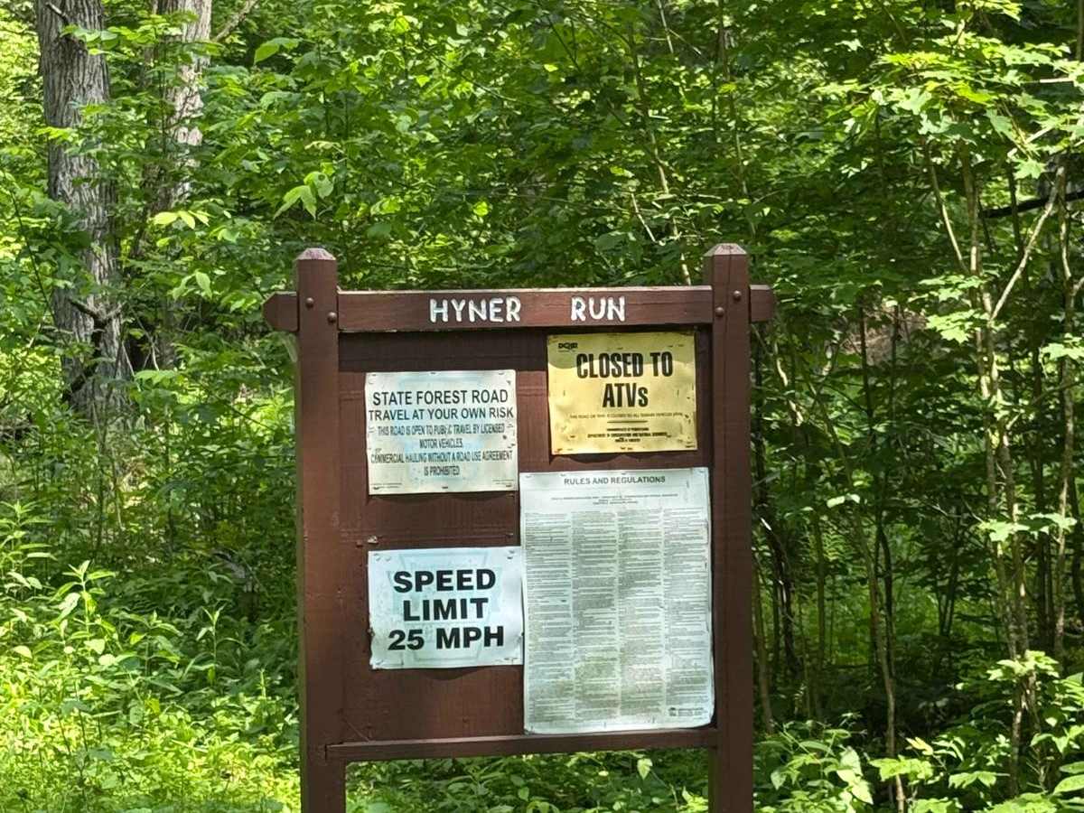 Hyner Run Road trail photo