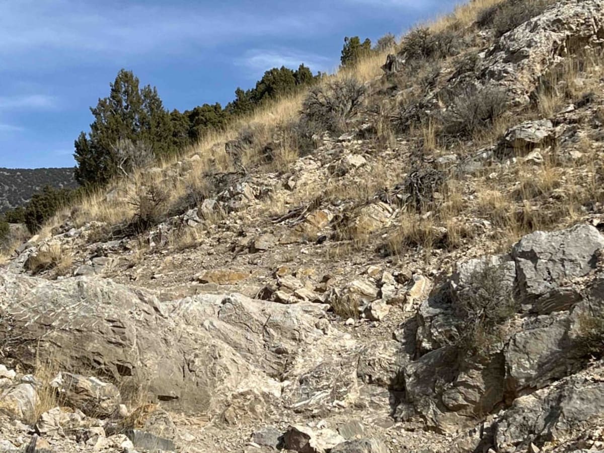 Eagle's Nest photo 4