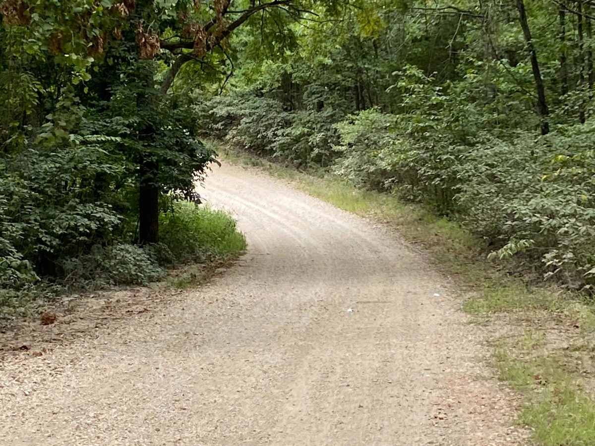 Round Mountain Road photo 2