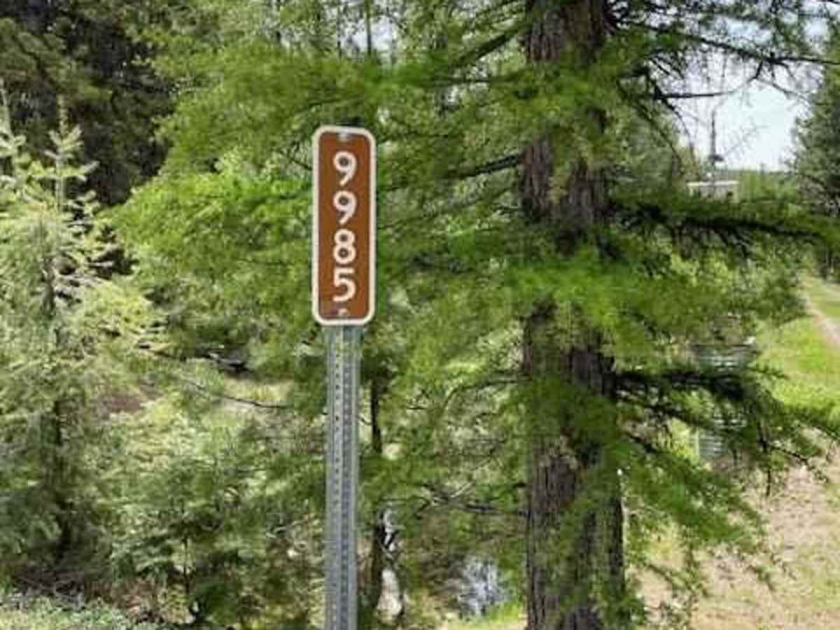 Divide Cutoff Road photo 4