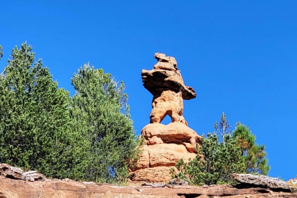 Buckskin Wash Road (508)