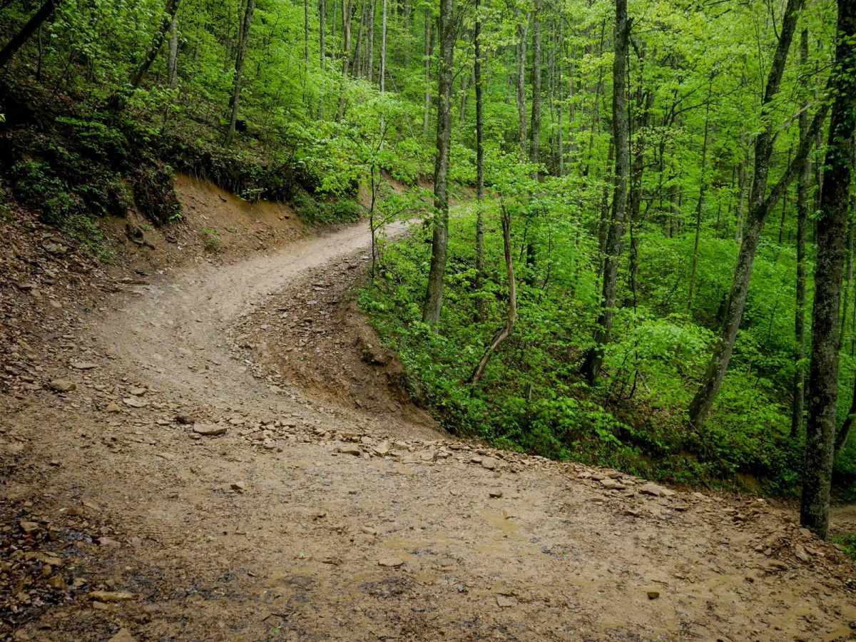 RH 31 trail photo