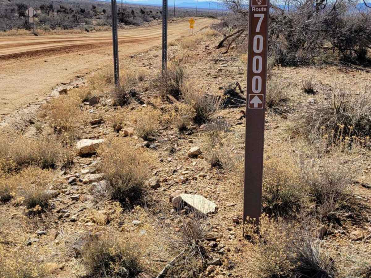 Spur Loop to Chloride AZ Peace Trail Connector (Northeast) trail photo