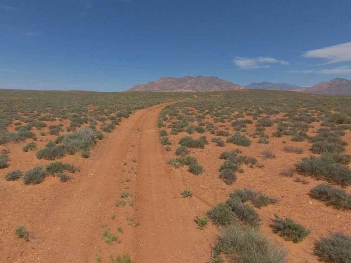 BLM13470 photo 3