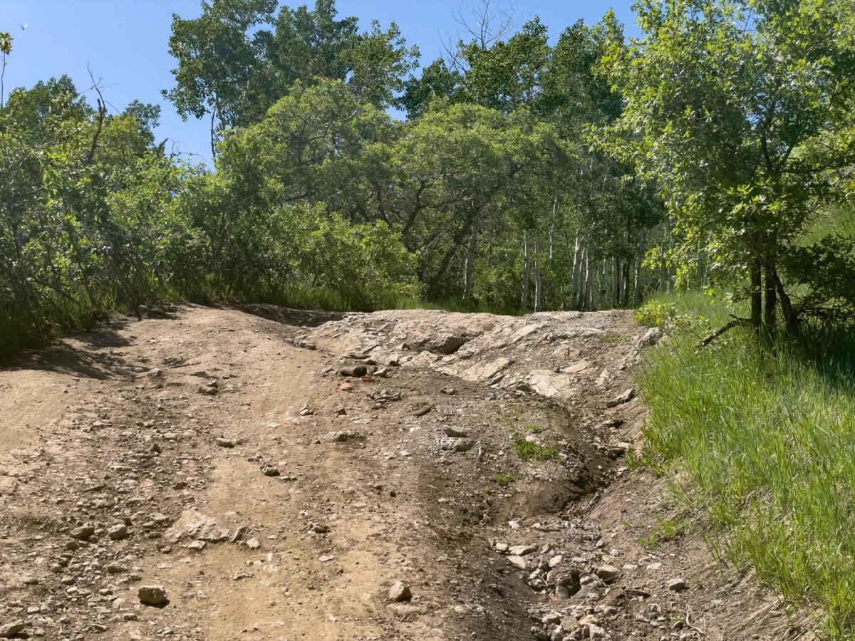 Mill Canyon Spring, 70180 photo 5