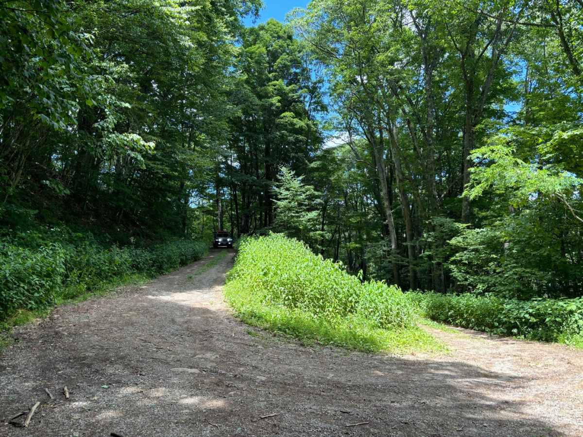 Owl Knob Hollow photo 3