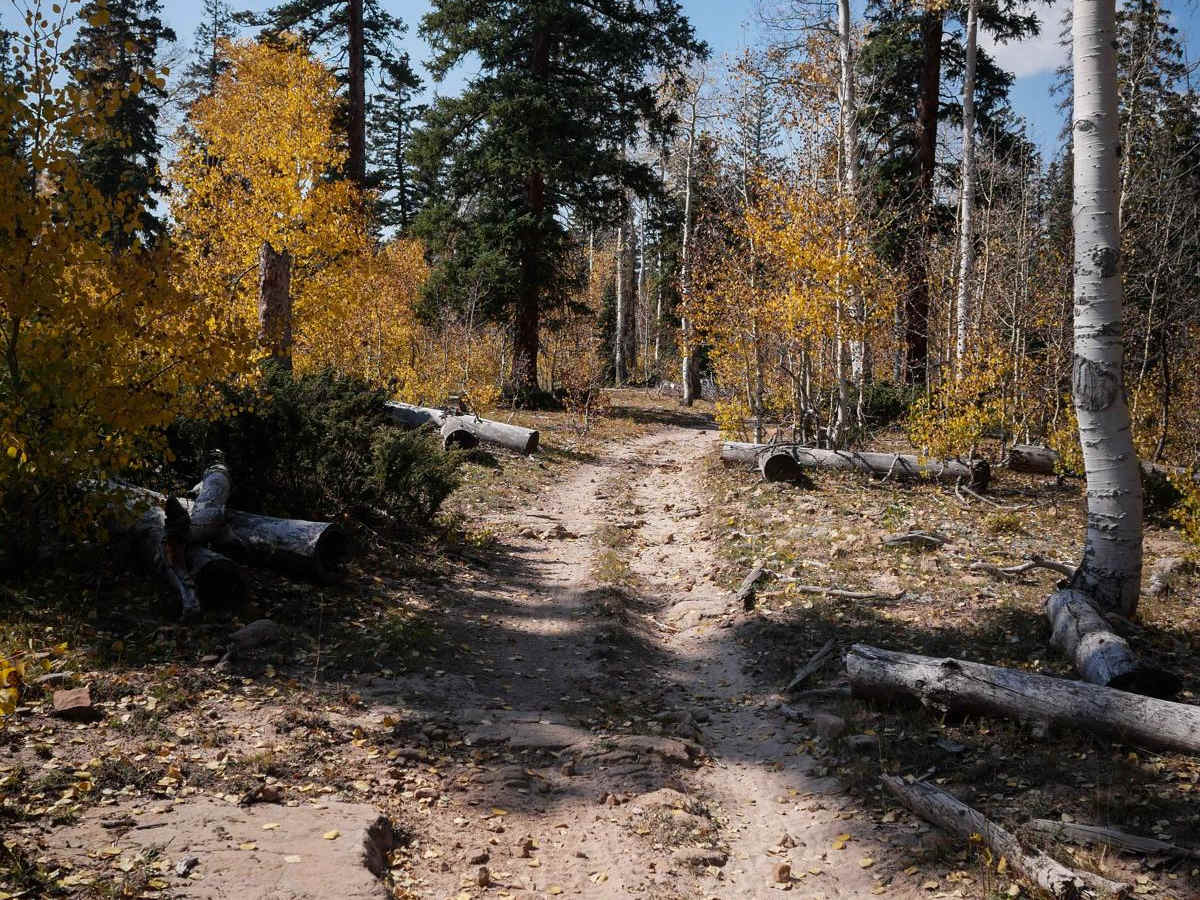 Spring Creek Spur B ATV Trail trail photo
