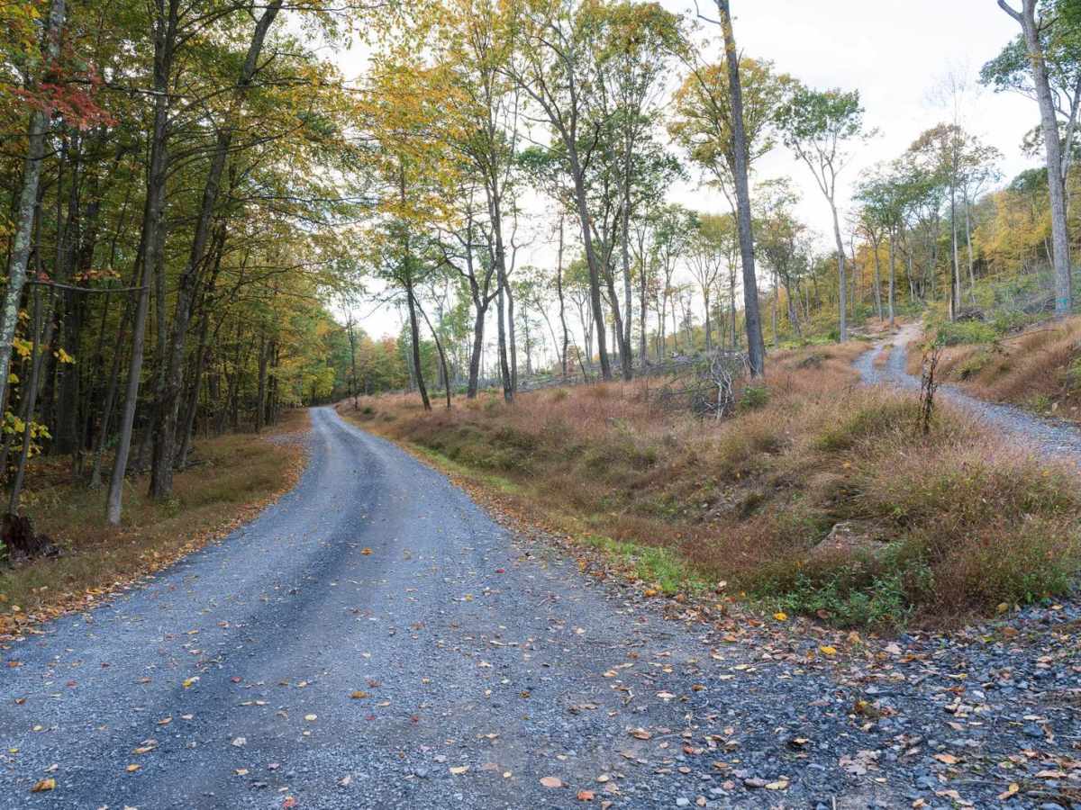 Harry's Valley Road photo 5