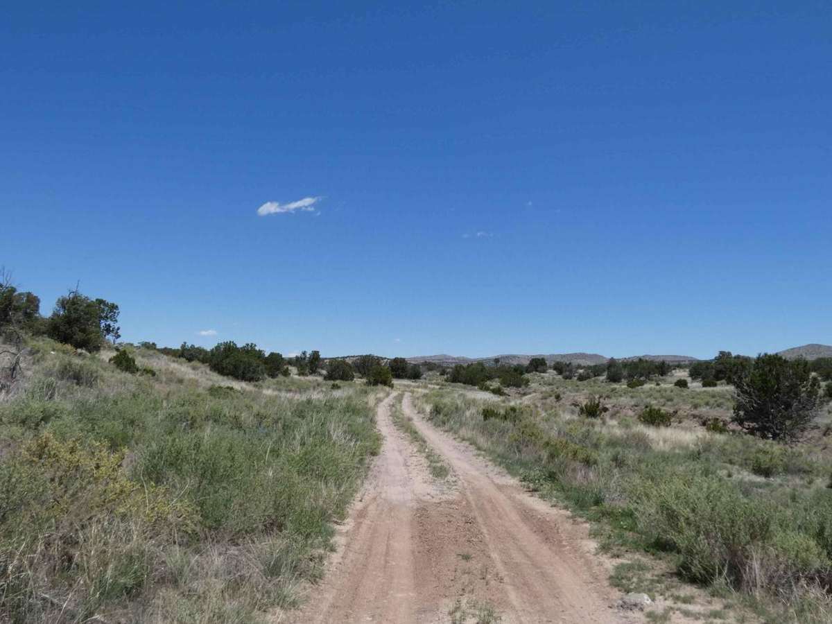 Buckhorn FS24 photo 6