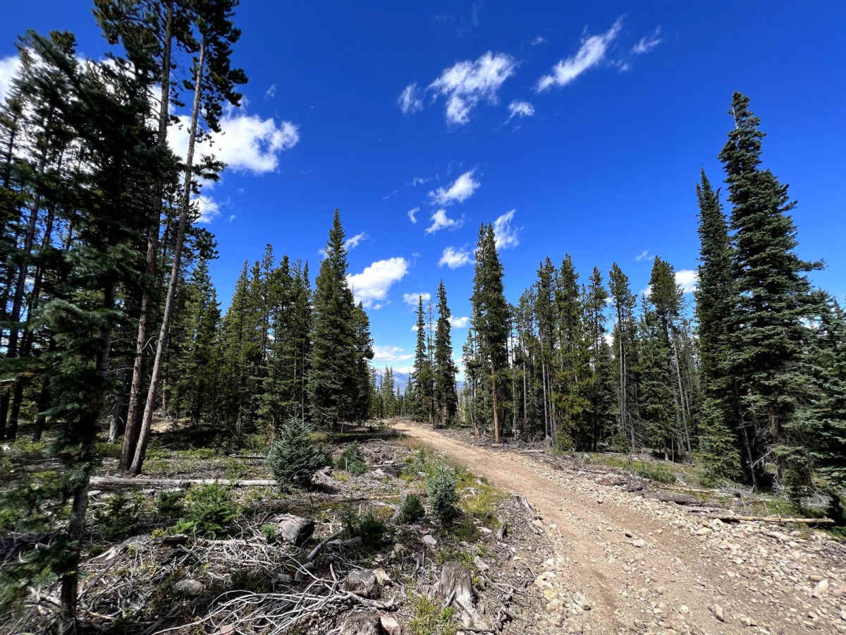Summit Gulch (GH-74) photo 5