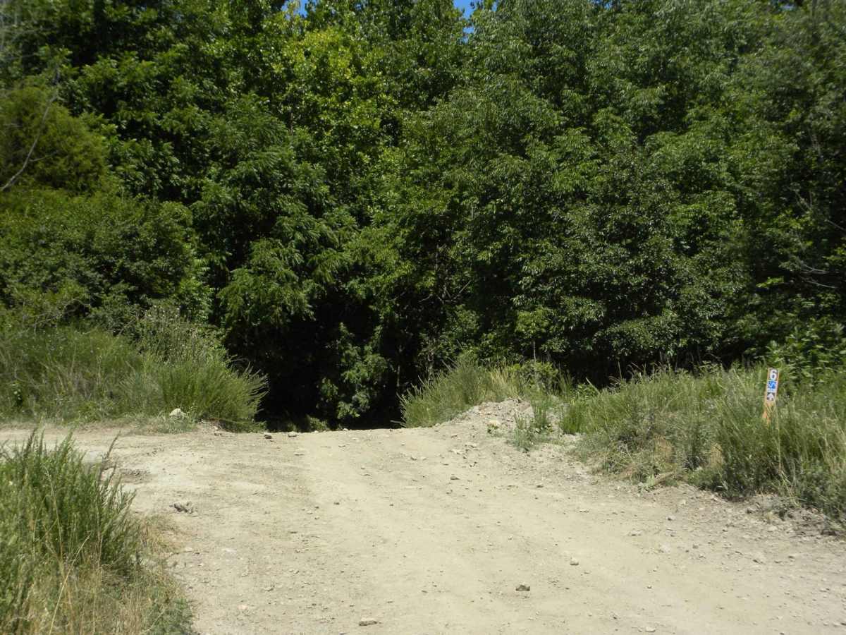 6A &6B loop photo 3