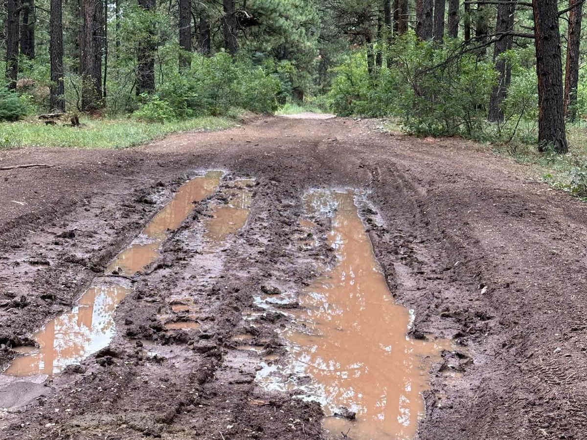 Mudhole Mania - FR 69C photo 4