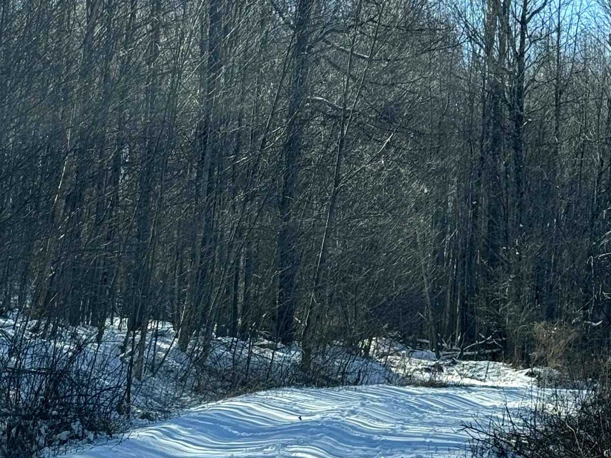 McCarty Road photo 6