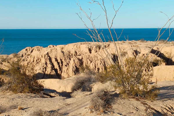 Sea of Cortez Overlook