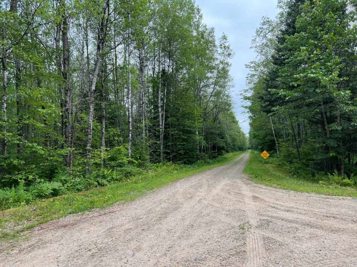 Peshtigo Reserve Road - FS 2695 photo 3