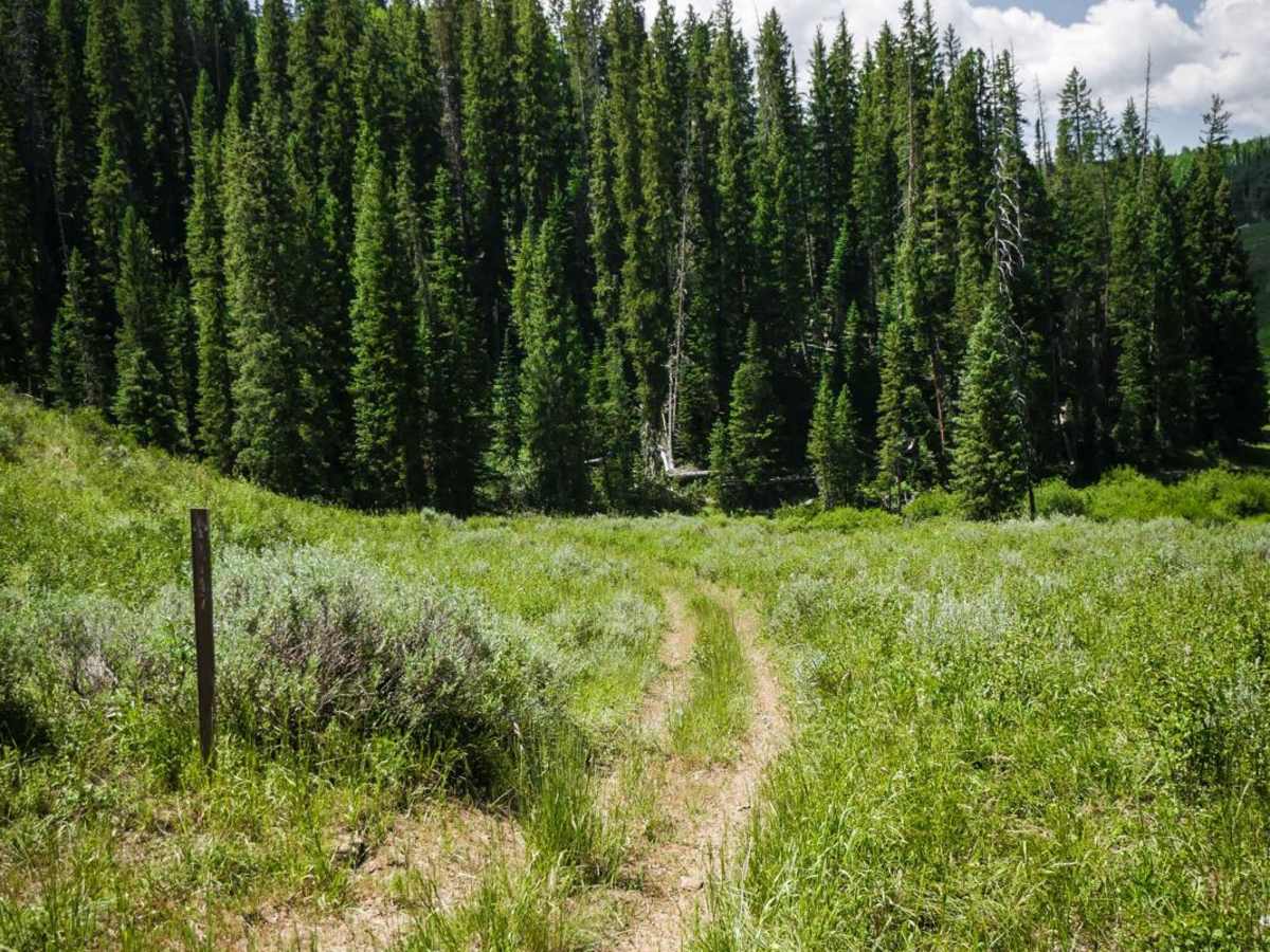 Nipple Peak ATV Trail trail photo