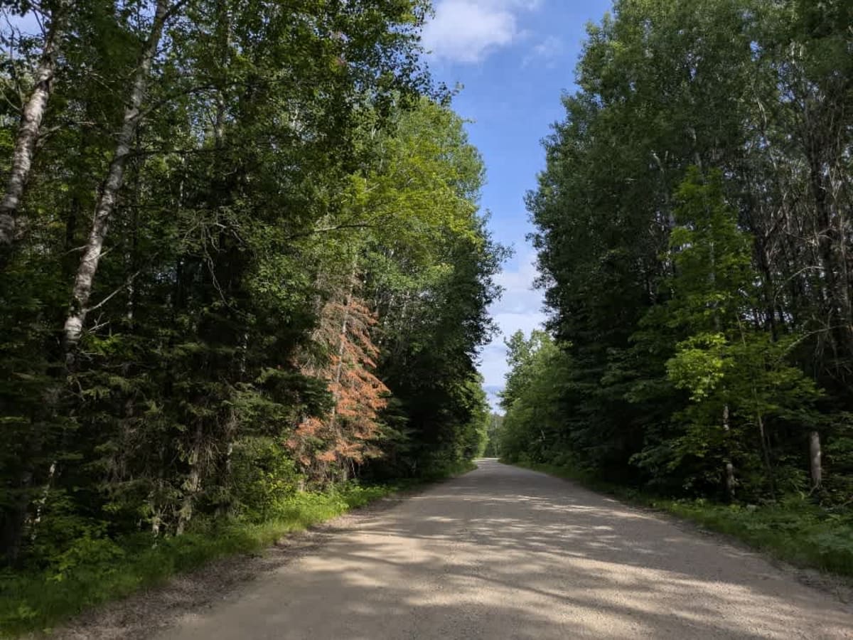 County Road 33 photo 6