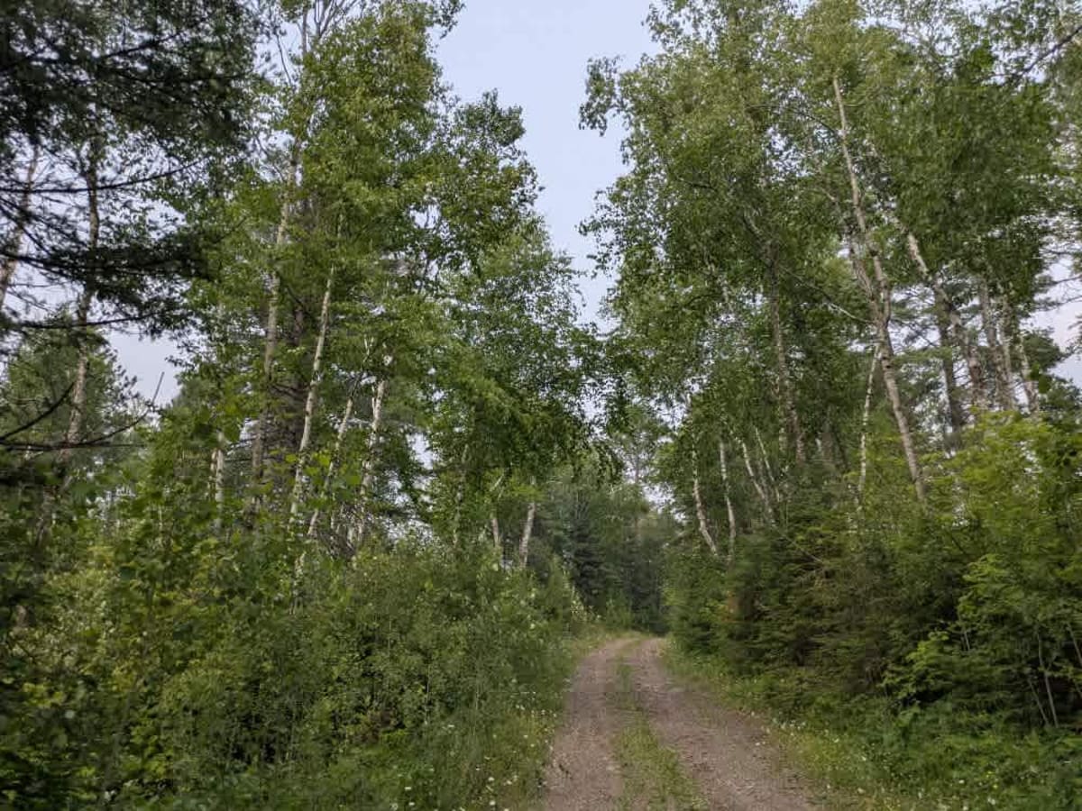 Stony Lookout trail photo