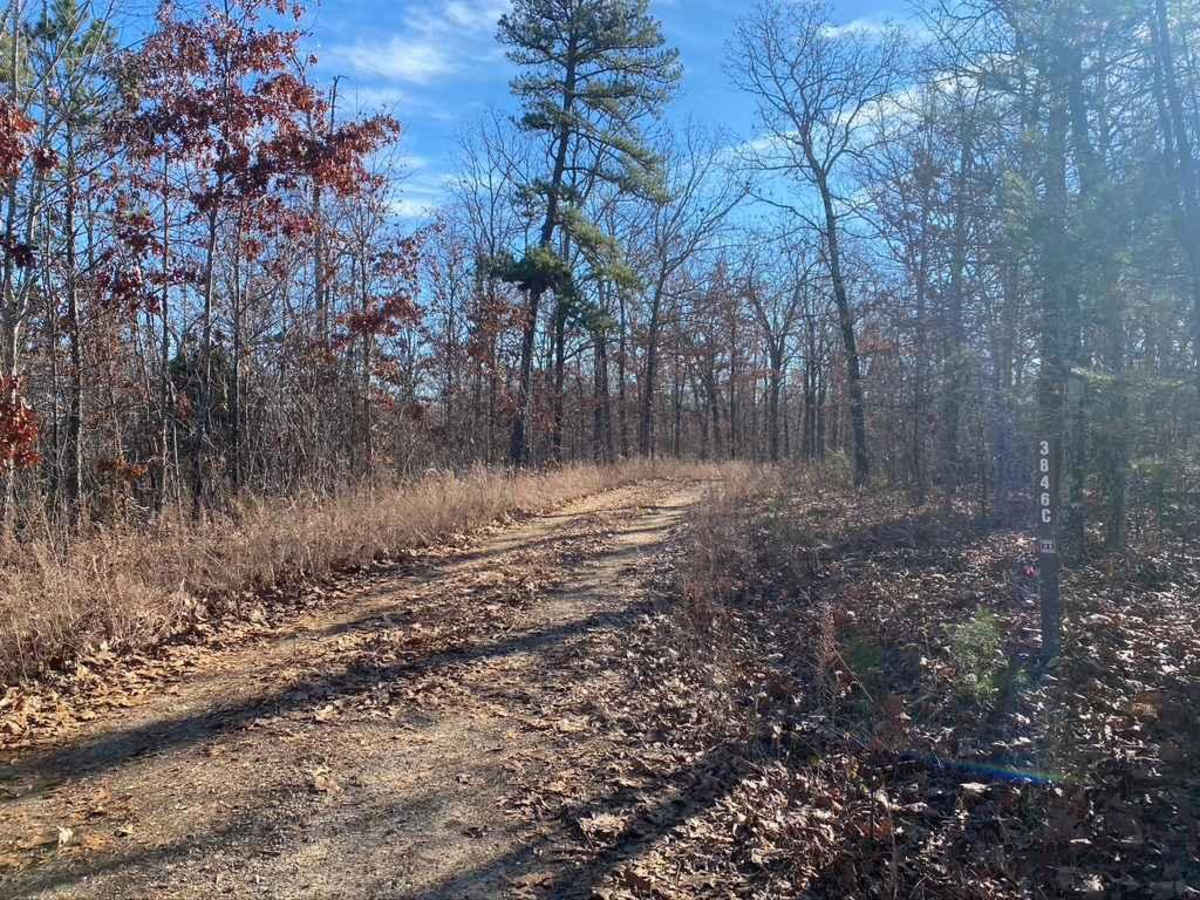 Smoot Hollow FSR 3846 photo 4