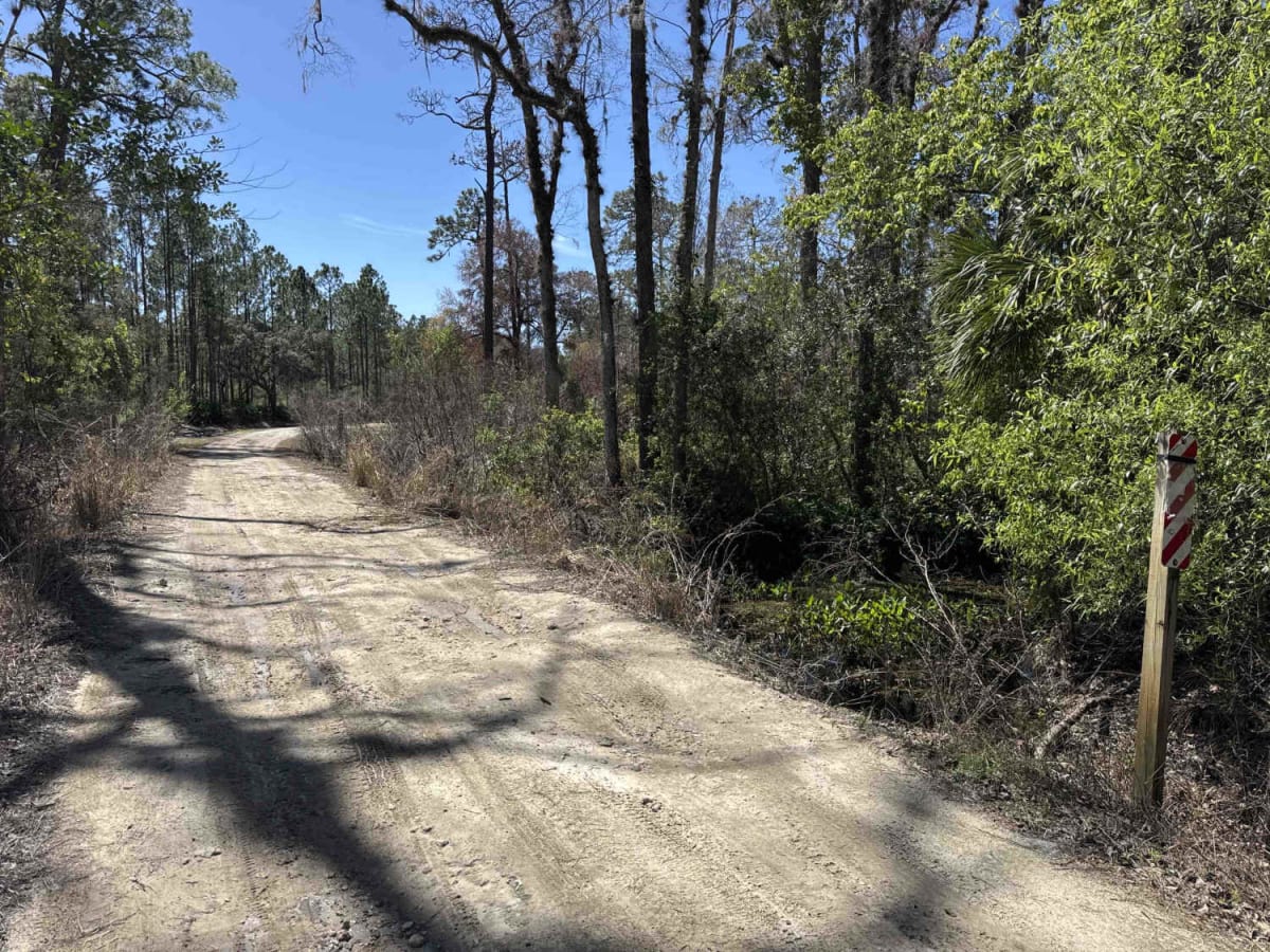 Black Water Creek - ONF 61 photo 6