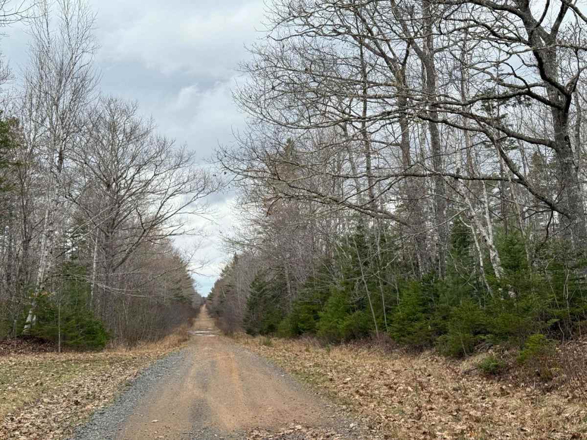 Mosher Road photo 5