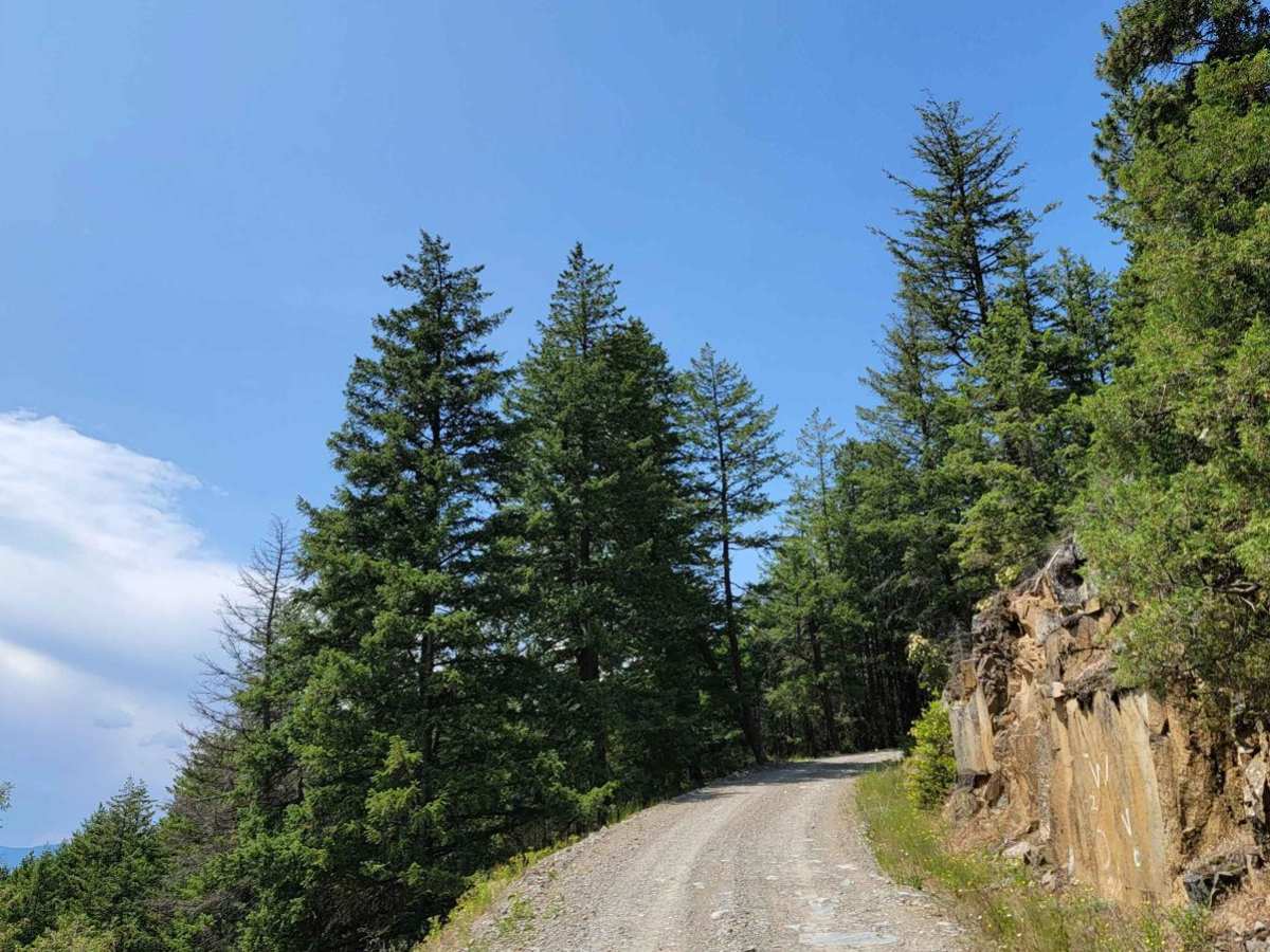 Mount Thompson photo 3