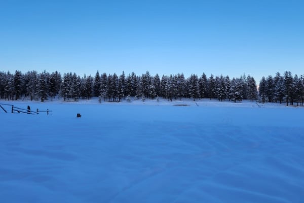 McGinty Lake Loop