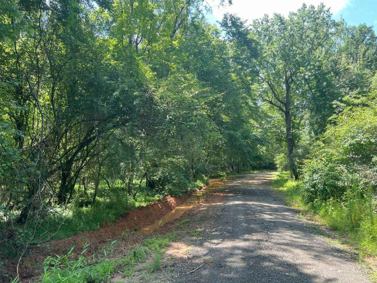Pike Road photo 6