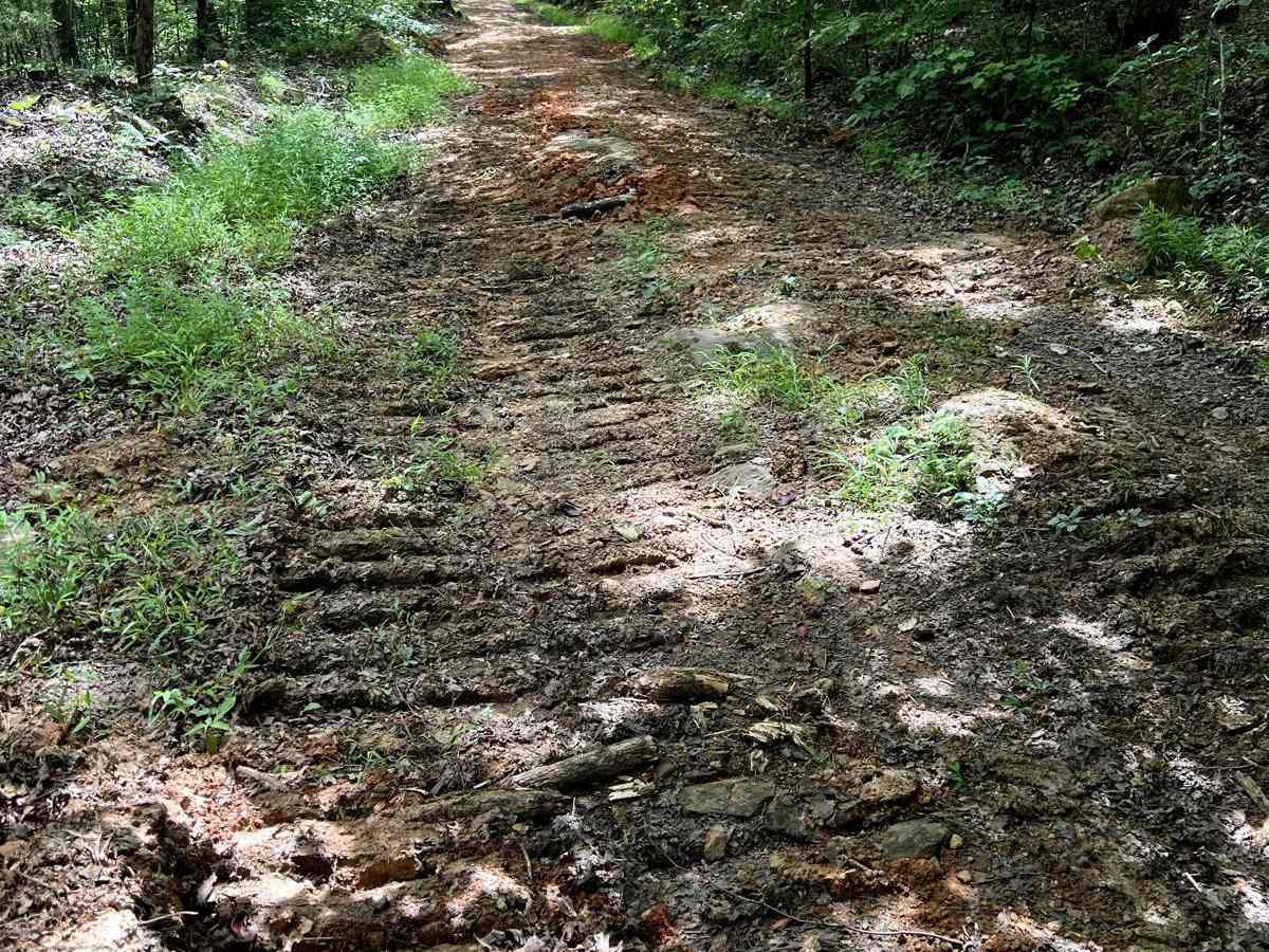 Walnut Ridge Connector photo 6