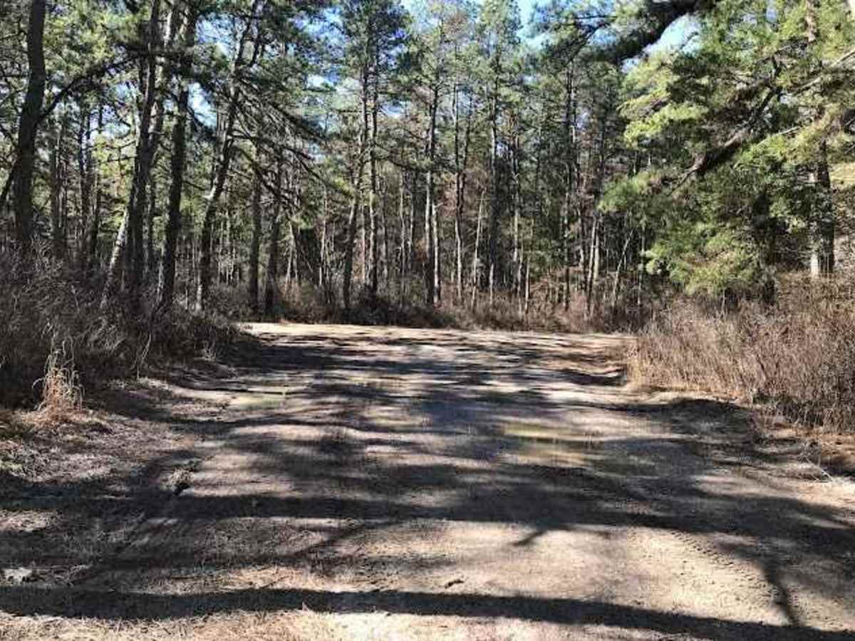 Muddy Road Trail photo 5