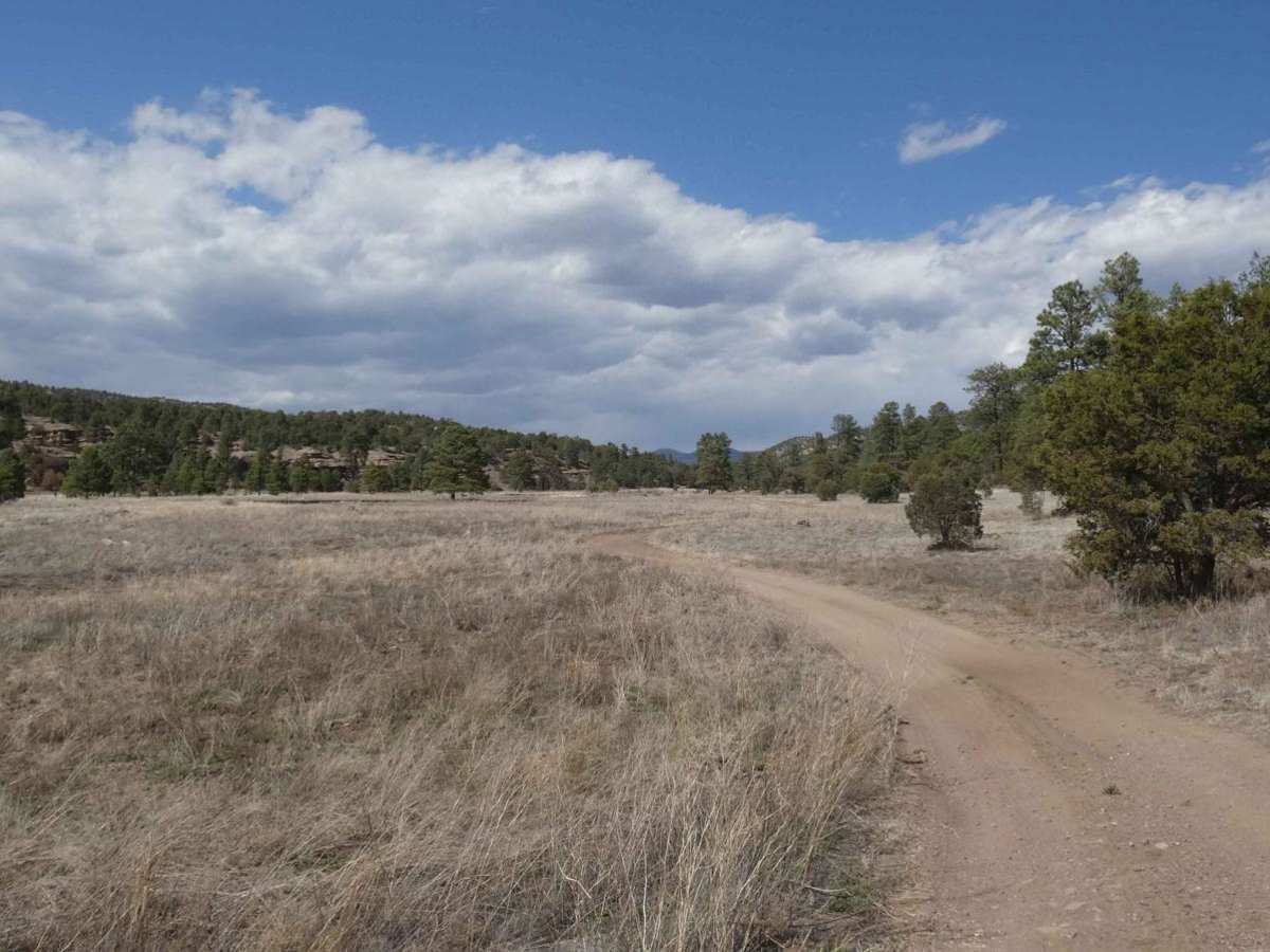 Mimbres River photo 5