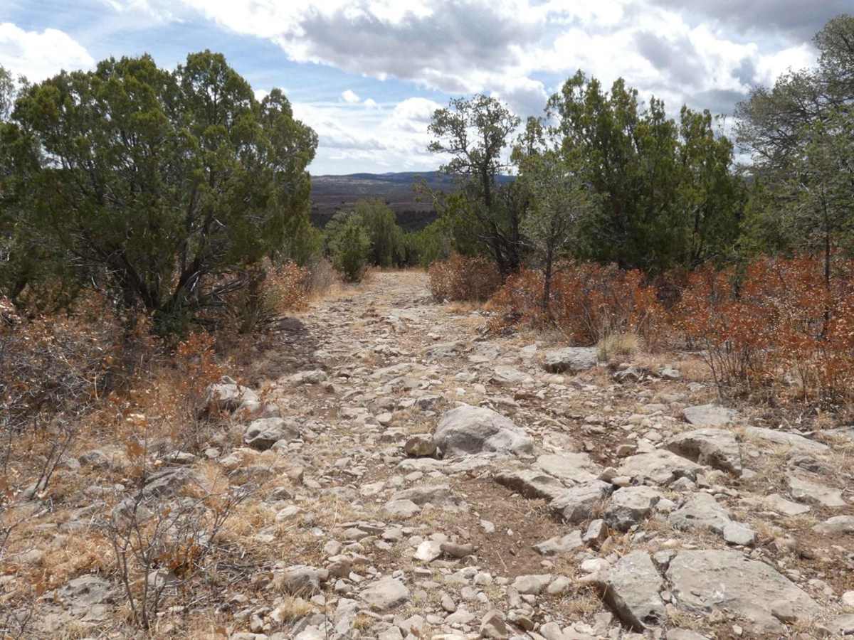 Cactus Canyon trail photo