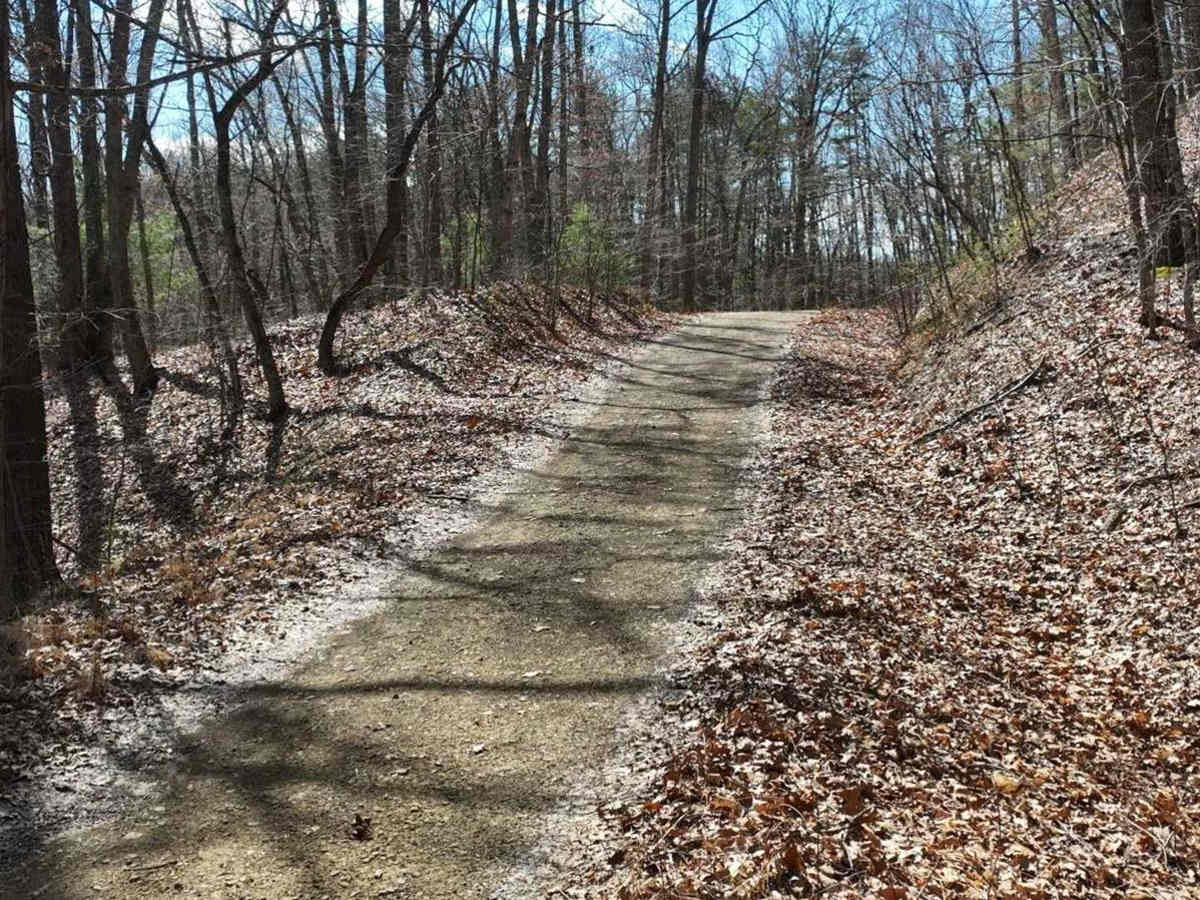 Archer Run photo 2