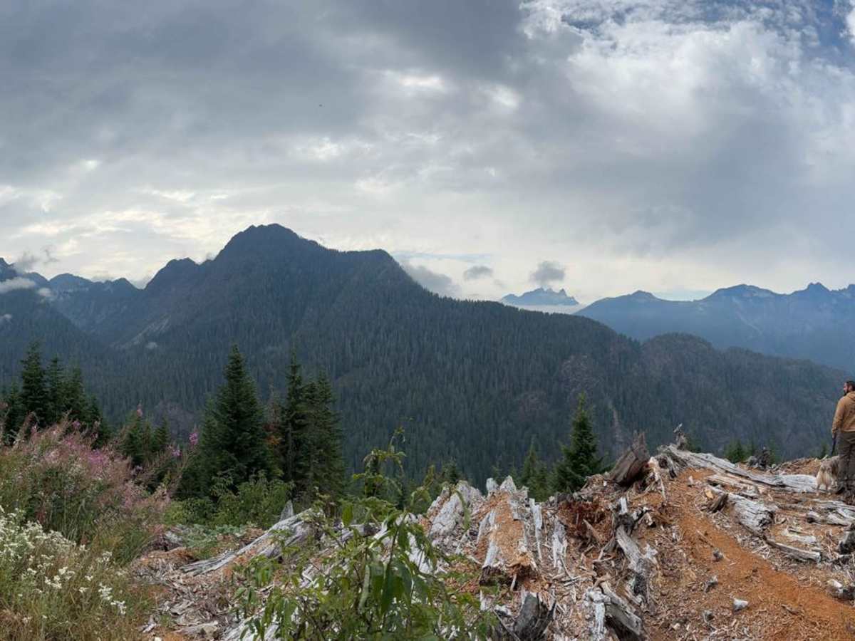 Helena Ridge trail photo